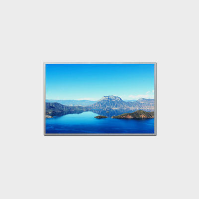 10.1 inç Yüksek Parlaklık LCD Ekran 1280*800 LVDS 1000nits