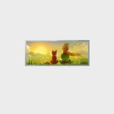 21.9 inç Bar Tipi LCD Ekran 1920*712 LVDS 1000nits