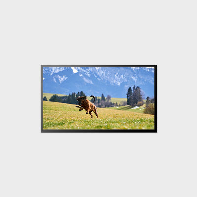 23.8 inç Yüksek Parlaklıklı LCD Ekran 58W 1920*1080 LVDS LCD Panel 1000nits