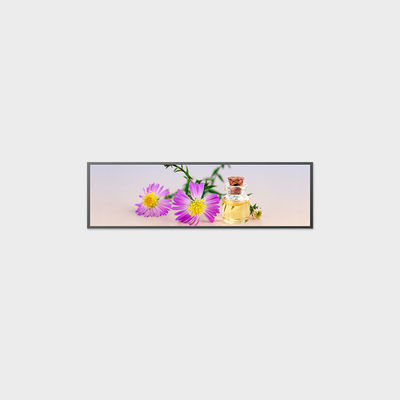 49.5 inç Çubuk Tipi LCD Ekran 3840*1080 V-Bir 250 nit