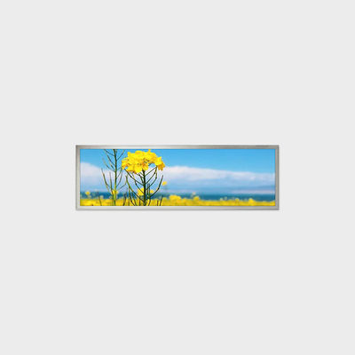 19.4 inç Çubuk Tipi LCD Ekran 1920*510 LVDS 500nits