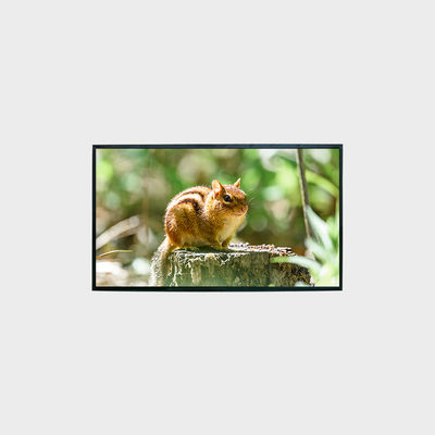 LCD Ekran 43 Inch LCD Panel 1500nits çözünürlük 1920*1080 LCMA-RX0430GL10-C150