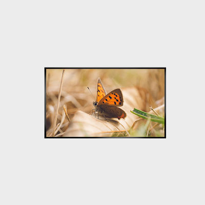 43 inçlik LCD Panel 2000nits 1920*1080 LCMA-RX0430GL13-Z200