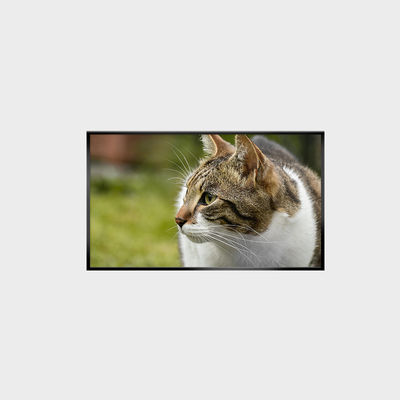 Endüstriyel Sınıf 43" LCD Ekranı Yüksek Parlaklık 1500nits ve Geniş Sıcaklık Arası LCMA-RX0430GB02-C150