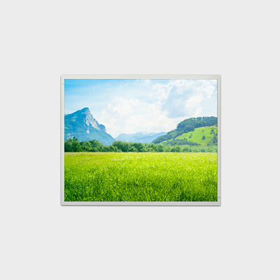 19 inçlik LCD çözünürlüğü 1280*1024 500 nit parlaklık LCMA-RX0190GB01-C050