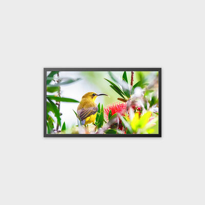 32 inç TFT LCD Reklam Ekranı 4000nit Yüksek Parlaklık Çözümü