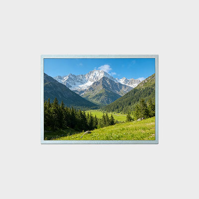 15 inç TFT LCD Ekranı 1024*768 çözünürlük desteği -30~80°C Çözüm