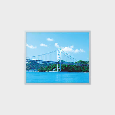 Geniş Sıcaklık Endüstriyel Alanı ile 19 İnç TFT LCD Ekran 1280*1024 Çözünürlük