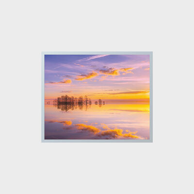 19 İnç Yüksek Parlaklıklı TFT LCD Ekran 1280*1024 Çözünürlük Endüstriyel Alan