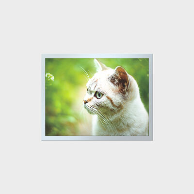 Endüstriyel Gösterge Panelleri için 15 İnç Yüksek Parlaklıklı TFT Uzun Ömürlü LCD