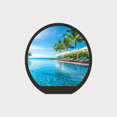 0.99 Inch Round LCD With 450nits Brightness Solution Support Smart Watch Application