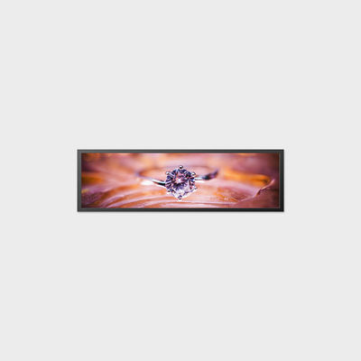 19.5 Inch Bar LCD Display 1920*536 700nits LVDS LCD Ekranı Yüksek titreşim karşıtı