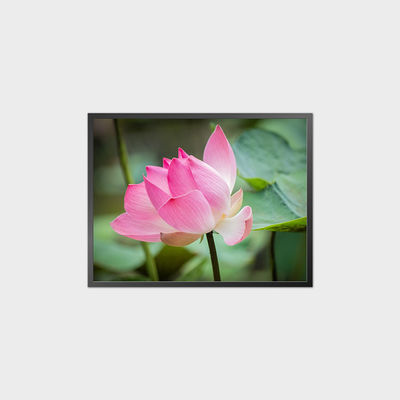 34.3 Inch Square LCD Panel 1856*1420 1500 Nits LCD Ekran Modülü