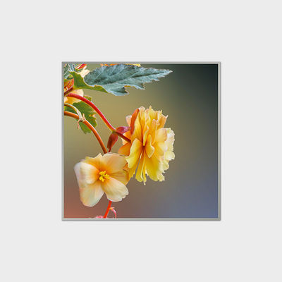 33Alışveriş merkezleri için.2 inç kare LCD ekran 420nits LVDS LCD modülü