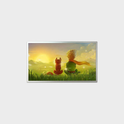 18.5 inç LCD Ekranı Çizelge Boyutu 431*255*9.2mm 1920*1080 Çözünürlük ve 0-50C LVDS LCMA-RX0185GB10-C050