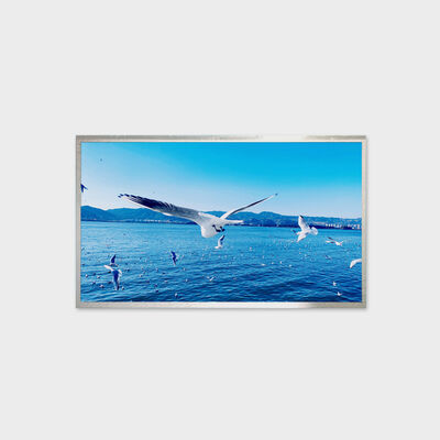 13,3 İnç TFT LCD Çözümü 800nit Parlaklık Çözümü Geniş Sıcaklık Göstergesi