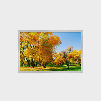 12.1 inç TFT LCD Ekranı 1280*800 çözünürlüğü 16:9 LVDS Ara yüzü 1500nits