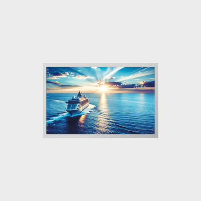 Özelleştirmeyle Endüstriyel Uygulamaya Yönelik 12,1 inç TFT LCD Çözümü