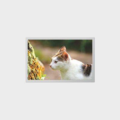 Taşınabilir Tıbbi Cihazlar için Düşük Güç Tüketimli LCD'li 12,1 inç TFT Ekran