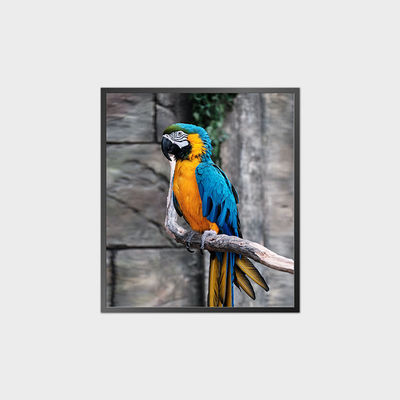 Yüksek Kontrastlı Kare LCD Panel 35.6 Inch 950*1080 500nit Android Sistemle