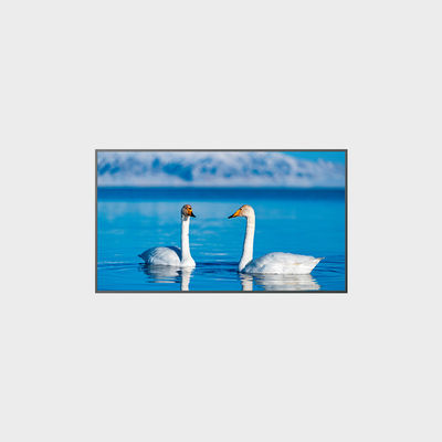 65 İnç Yüksek Parlaklıkta LCD Panel 1920*1080 2000nits LCMA-RX0650GB08-Z200