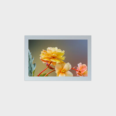 27 İnç Kare Tip TFT LCD, 1847*1154 Çözünürlüklü Kesim Çözümü