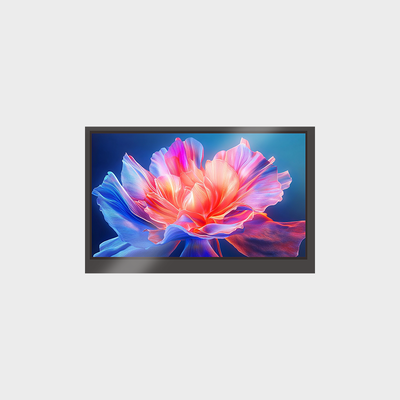 7,0 İnç Orta ve Küçük LCD Ekran 1024*600 Dokunmatik Panelli RGB Ekran