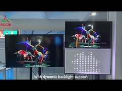 Rogin Yerel Karanlıklandırma Teknik Destek Giriş