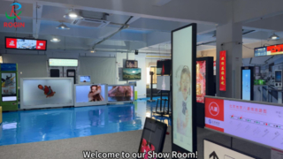 Rogin'in Gösteri Odası-Küçük ve Orta Boy Tam HD LCD modülü